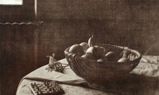 Fruit Bowl in Chantilly