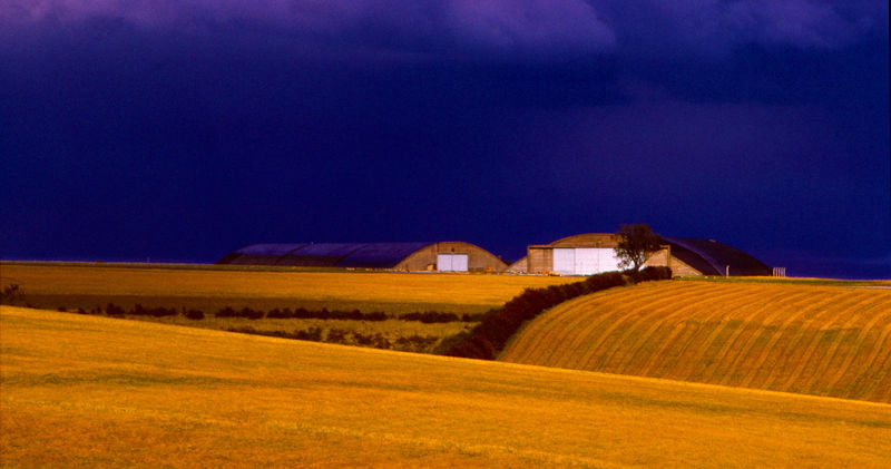 Purchase print of Hay and Hangers