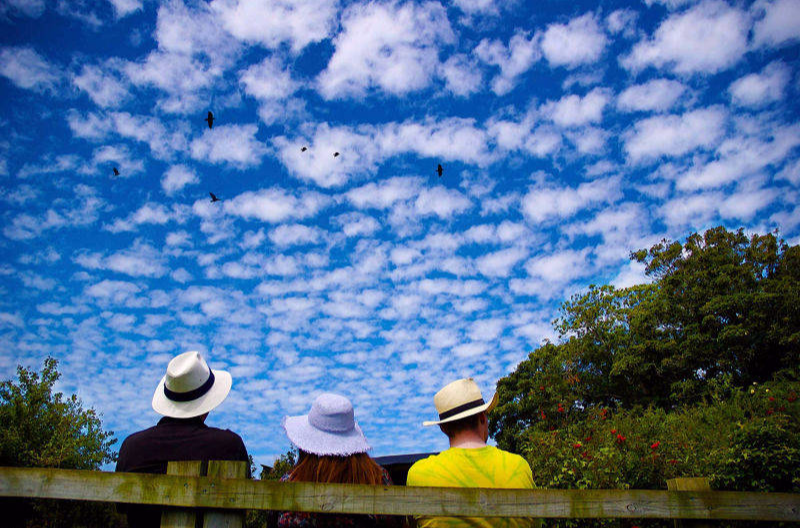 Three Hats at Heligan Gardens St Austell