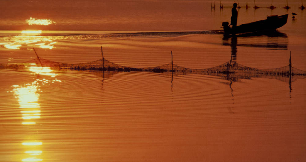 Golden Fishing on Argentario