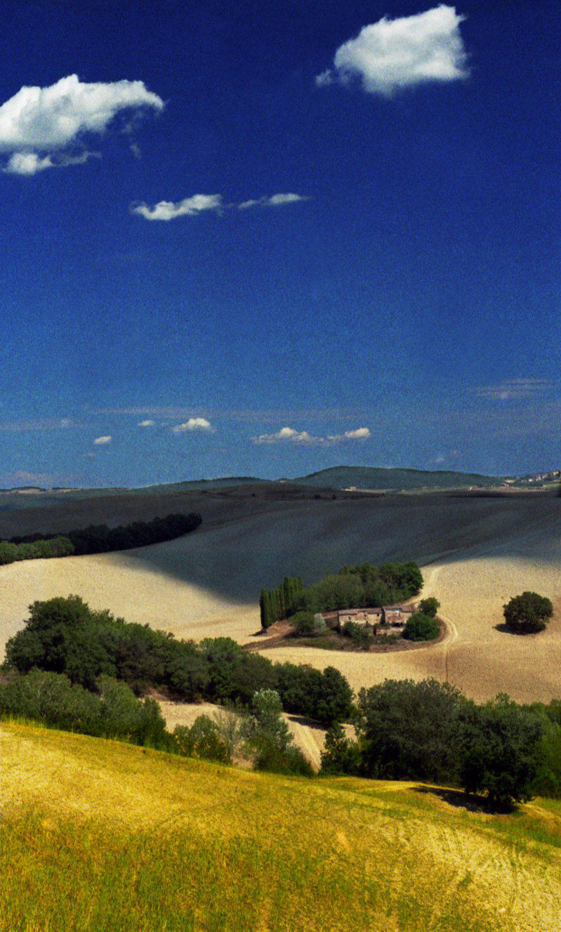 Siena Fields Tuscany Italy